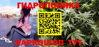 jwh Будённовск