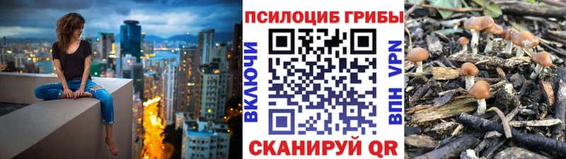 Галлюциногенные грибы прущие грибы  мега зеркало  Каменск-Шахтинский 