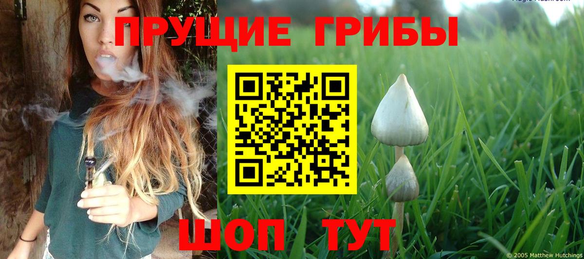 Галлюциногенные грибы ЛСД Каменск-Шахтинский